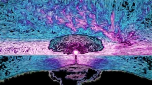 Vibrazioni Elevate